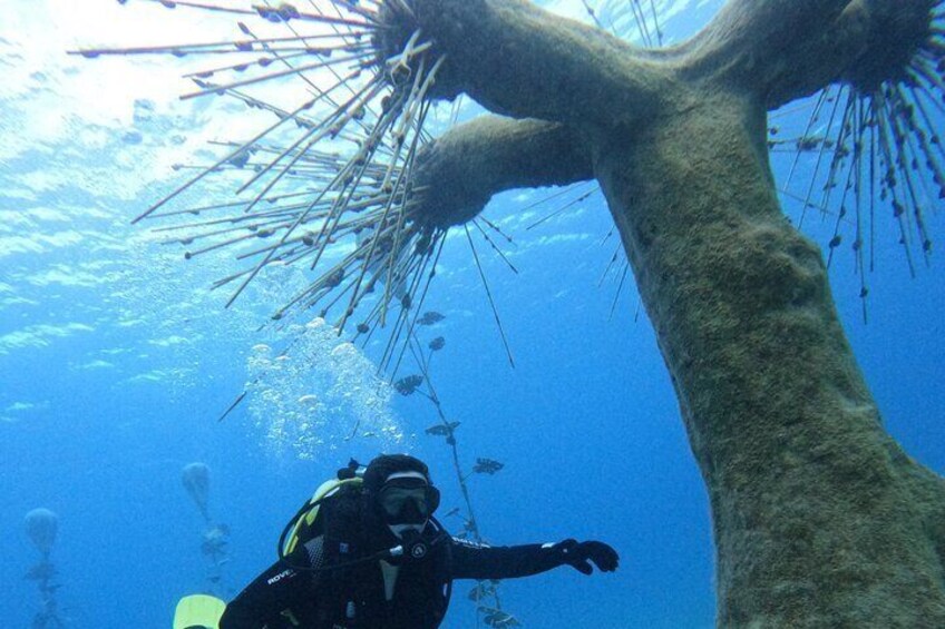 Musan Scuba Diving Private Adventure