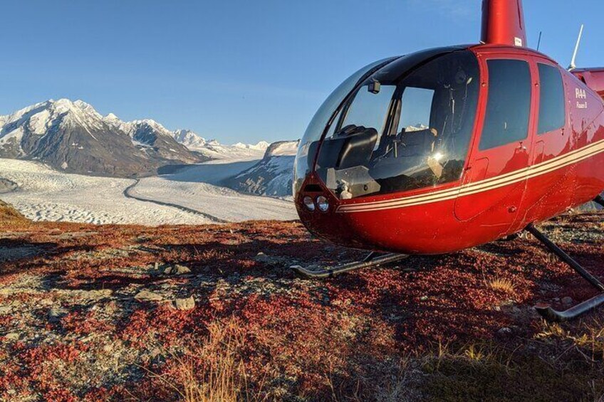 Bear Glacier Helicopter Tour with Landing