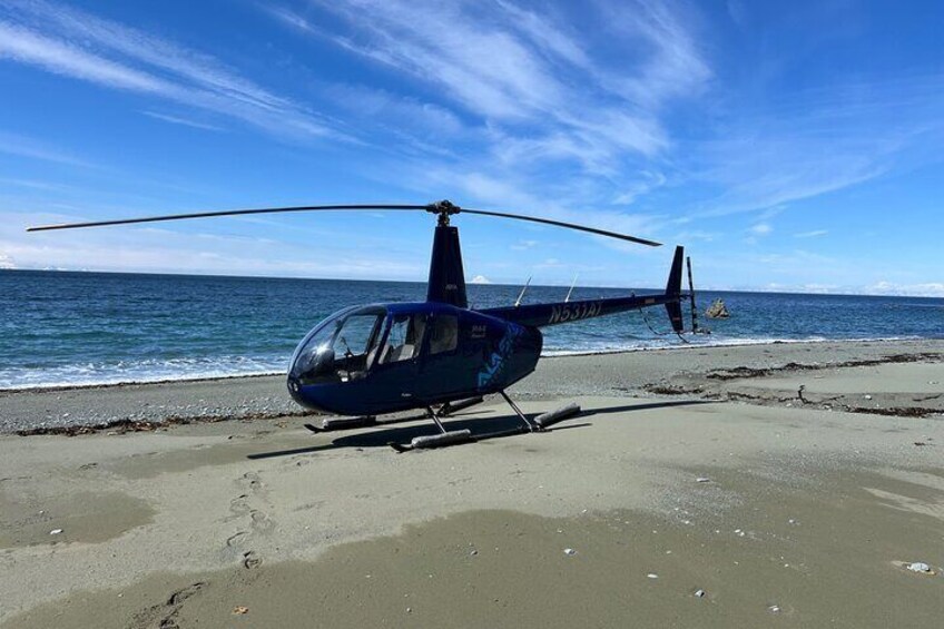 Bear Glacier Helicopter Tour with Landing