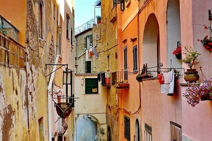 Catamaran Tour in Procida Guided by Land and Taxi