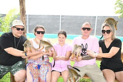 Half Day Puerto Plata City Tour and Monkey Home Visit