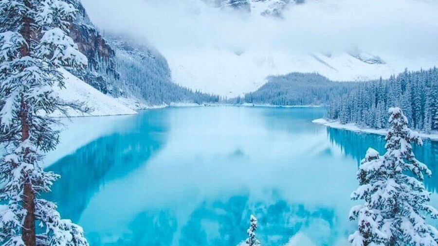 Banff and Yoho Rocky Mountain Discovery Day Tour