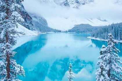 Excursión de un día a Banff y las Montañas Rocosas de Yoho