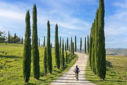 Asciano and Crete Senesi E-Bike Tour with Pick up and Drop off