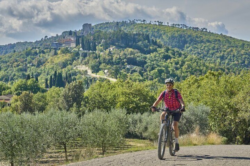 Florence Countryside PRIVATE E-Bike Tour with Wine Tasting