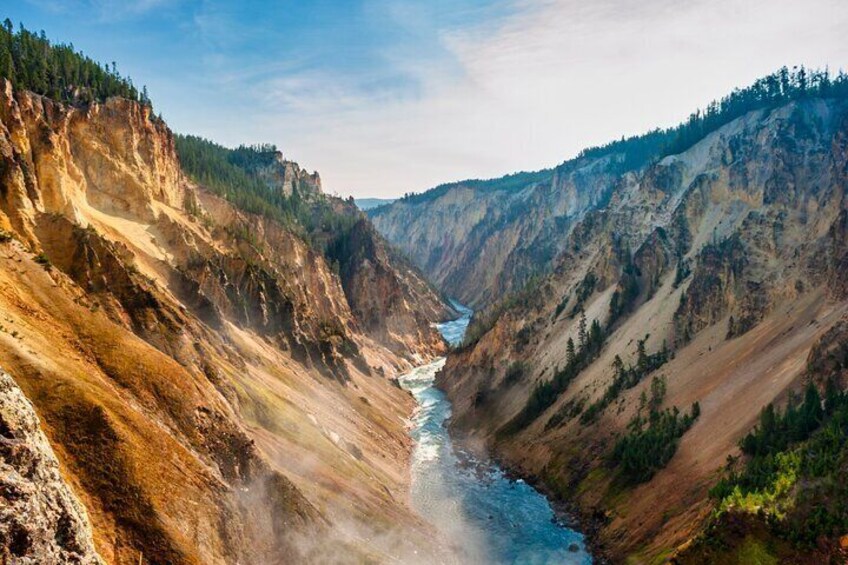 Mercedes Van VIP Tour of Yellowstone with a Wildlife Biologist
