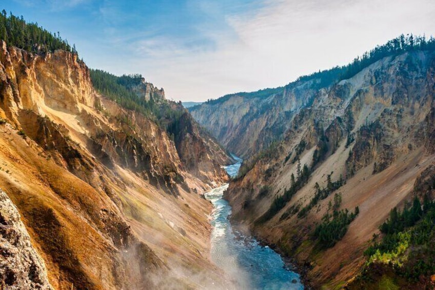 Mercedes Van VIP Tour of Yellowstone with a Wildlife Biologist