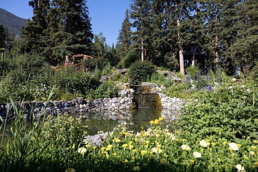 Banff National Park Walking Tour Experience
