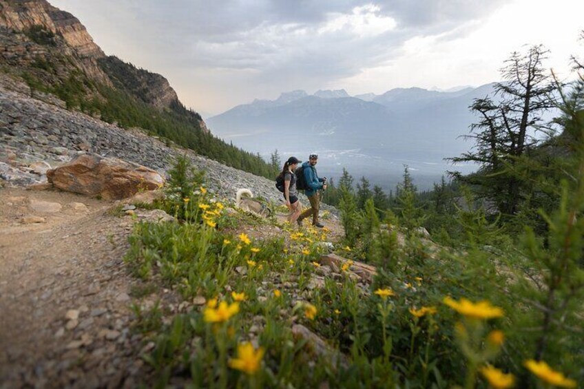 Banff National Park Walking Tour Experience