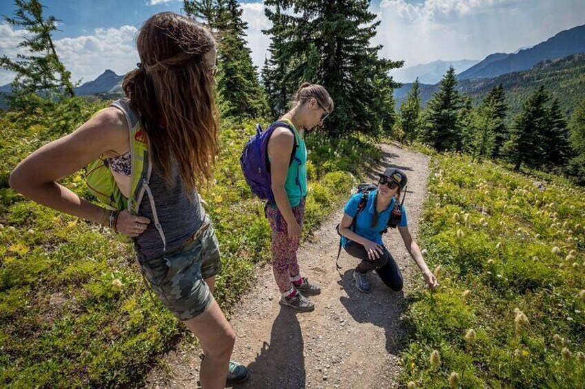 Banff National Park Walking Tour Experience