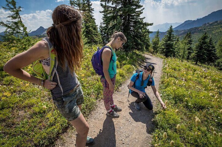 Banff National Park Walking Tour Experience