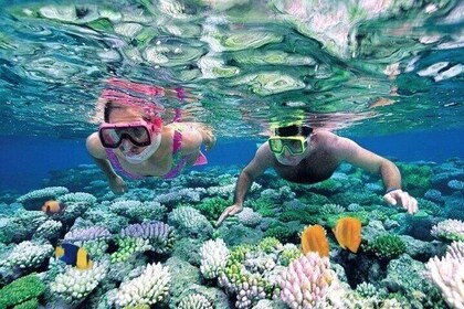 Bali Snorkelling at Blue Lagoon and Tanjung Jepun with Transfer