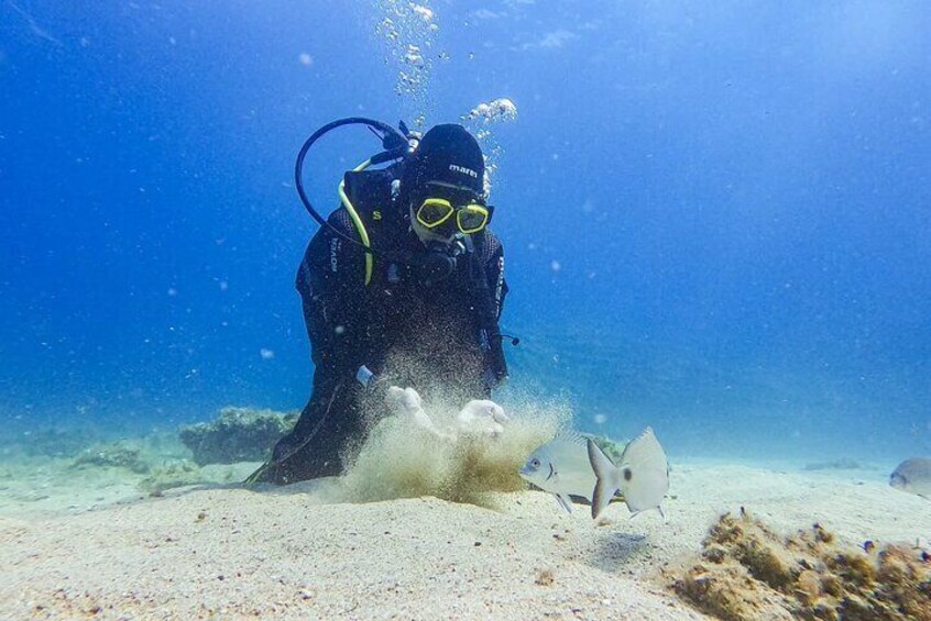 Beginner Scuba Diving and Explore the Underwater World