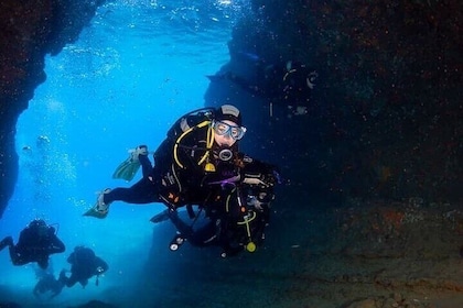 Beginner Scuba Diving and Explore the Underwater World