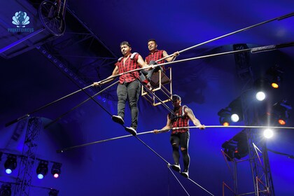 Phuket Circus – การแสดงละครสัตว์สุดตระการตาแห่งภูเก็ต