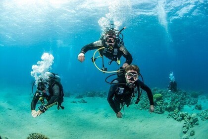 Ras Mohamed & White Island Diving & Snorkeling – Sharm El Sheikh