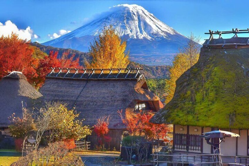 From Tokyo: Mount Fuji Sightseeing Full Day Trip