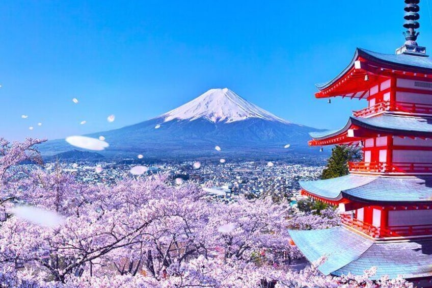 From Tokyo: Mount Fuji Sightseeing Full Day Trip