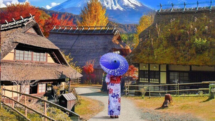 From Tokyo: Mount Fuji Sightseeing Full Day Trip