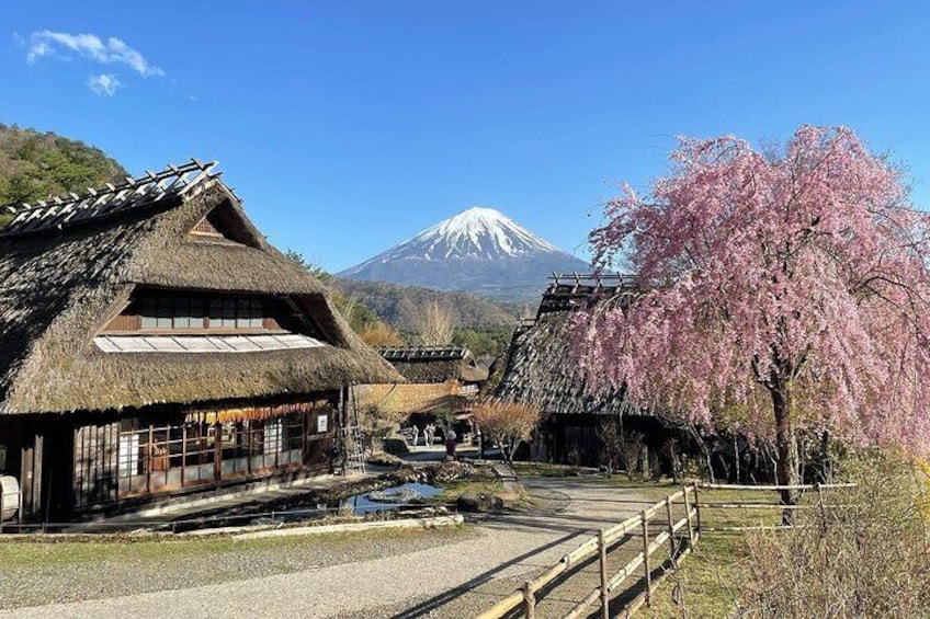 From Tokyo: Mount Fuji Sightseeing Full Day Trip