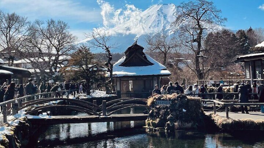 From Tokyo: Mount Fuji Sightseeing Full Day Trip