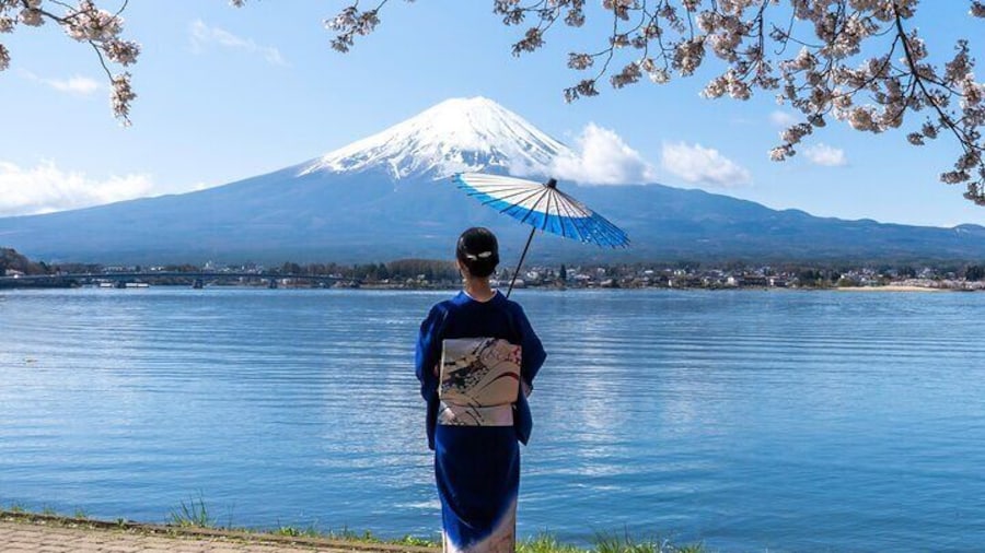 From Tokyo: Mount Fuji Sightseeing Full Day Trip