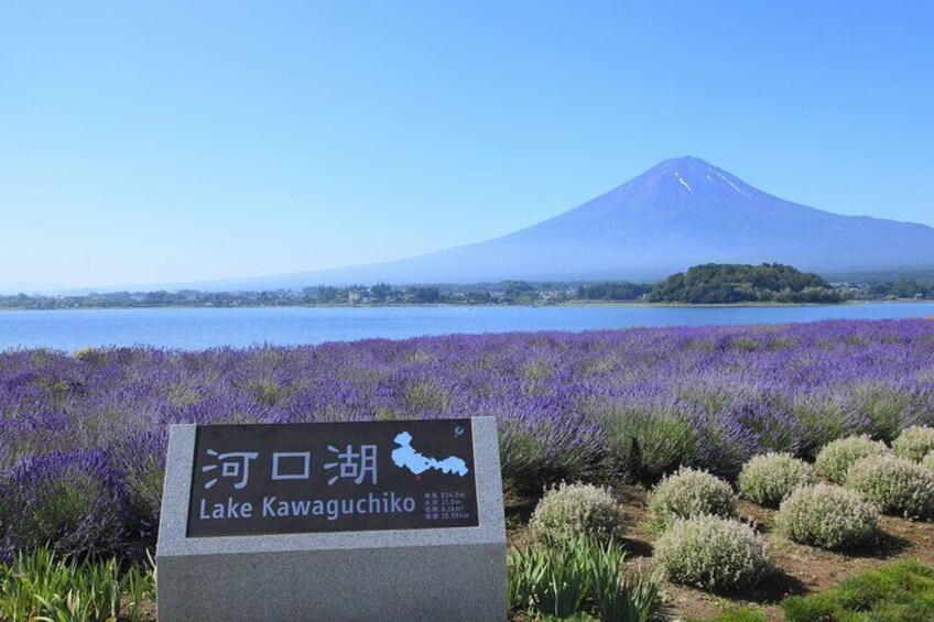 From Tokyo: Mount Fuji Sightseeing Full Day Trip