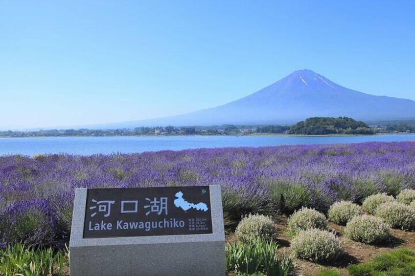 From Tokyo: Mount Fuji Sightseeing Full Day Trip