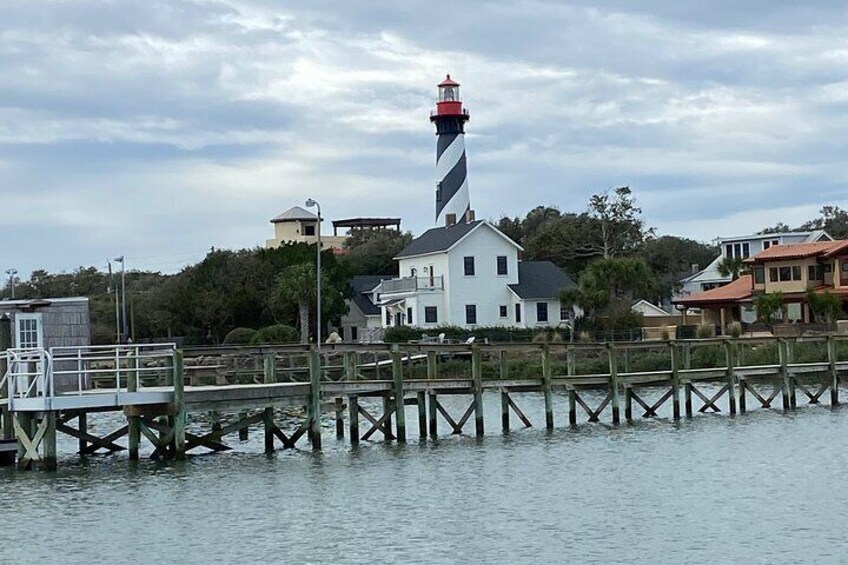 Dolphin and Wildlife History Tour