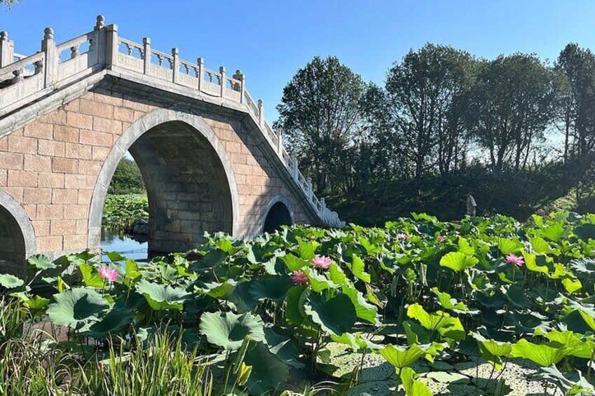 Mutianyu Great Wall and Summer Palace No Shopping one-day tour