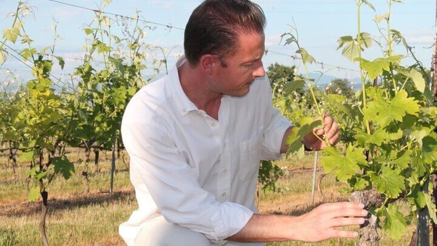 Taste of Provence a Day of Wine and Scenery in the Coteaux d'Aix
