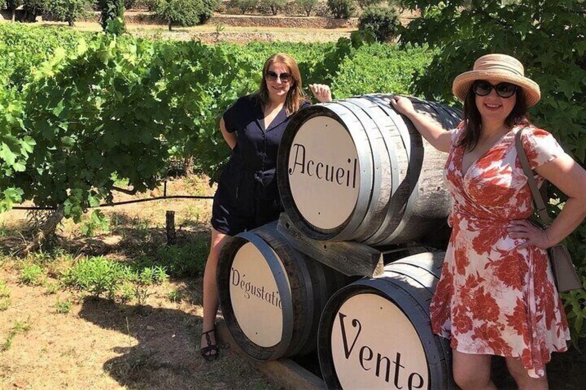 Taste of Provence a Day of Wine and Scenery in the Coteaux d'Aix