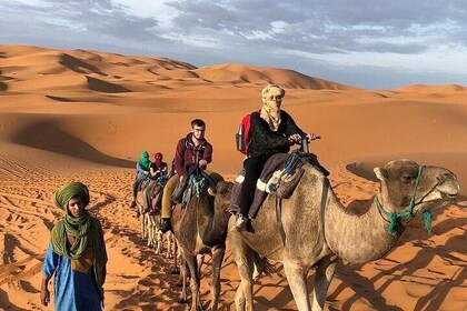 Marrakech to Fez: Sunset Camels & Sahara Dreams