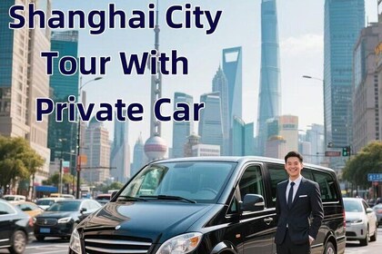 Aangepaste eendaagse Shanghai Tour