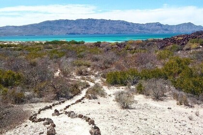 Coronados Island Tour in Loreto Bay