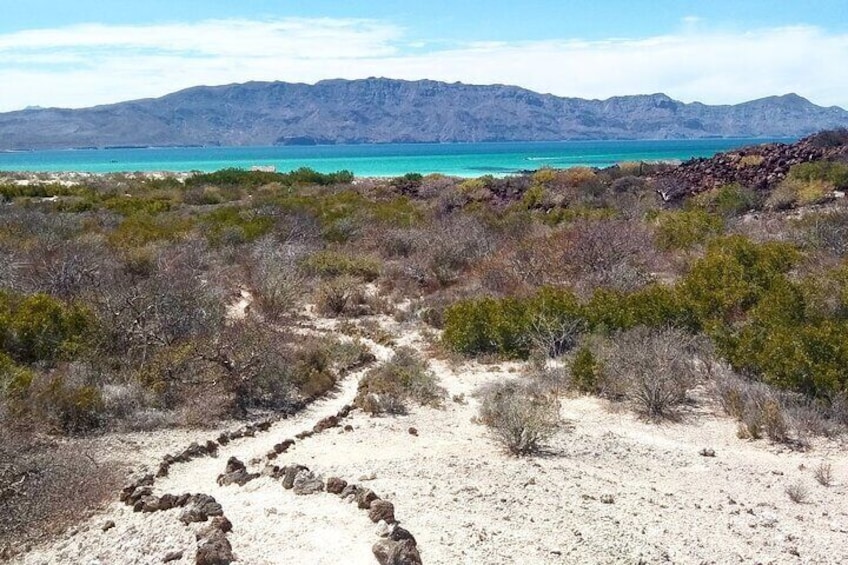 Road in Isla Coronados