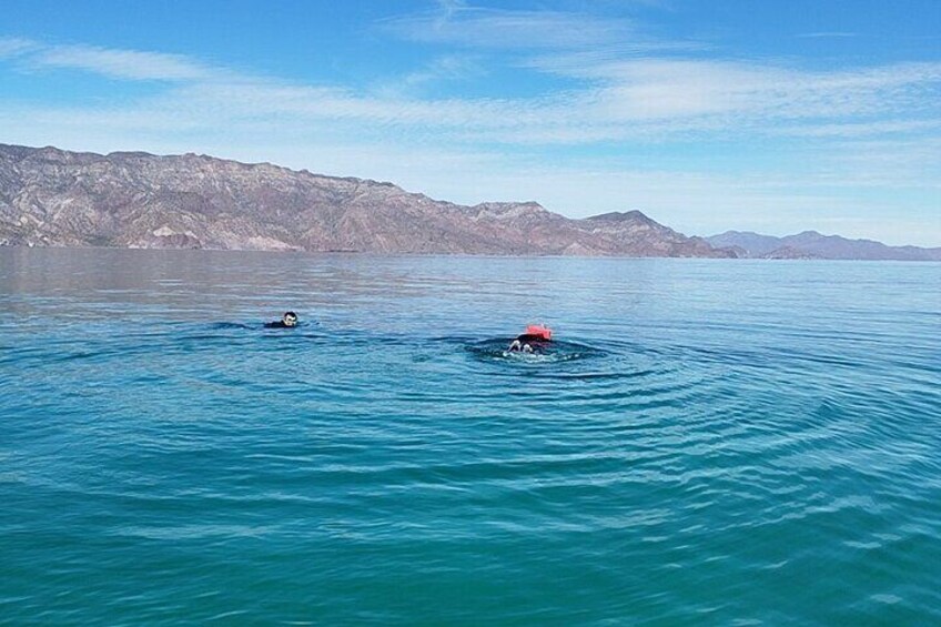 Snorkeling