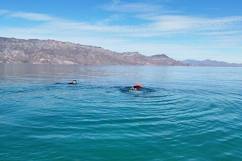Snorkeling