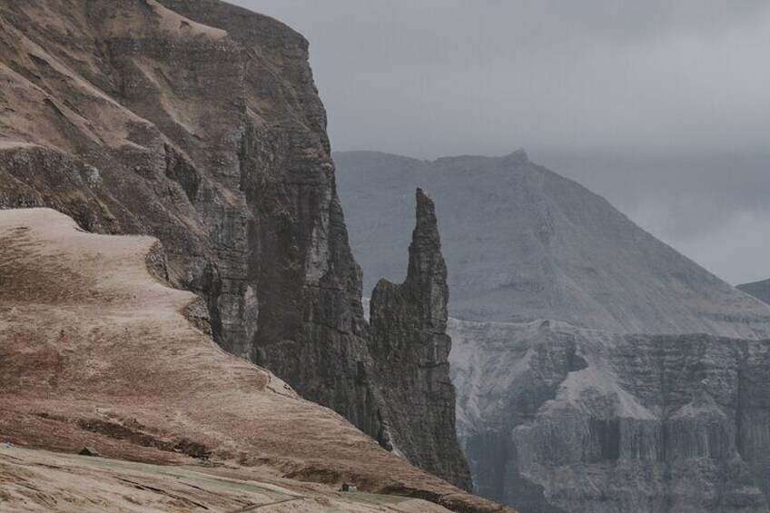 Trøllkonufingur / Witches Finger