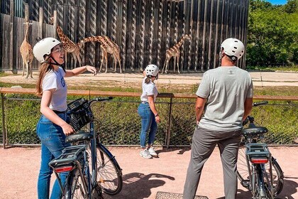 Balade à vélo au parc de la Tête d'Or- 2h