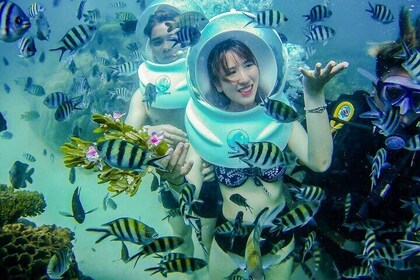 Explore Nha Trang Bay with Sea Walking and Traditional Food