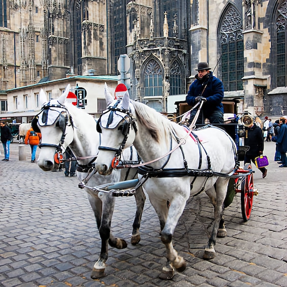One day private Vienna tour