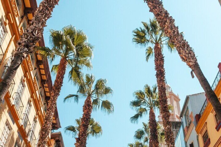 Explore Marbella in 60 minutes with a Local