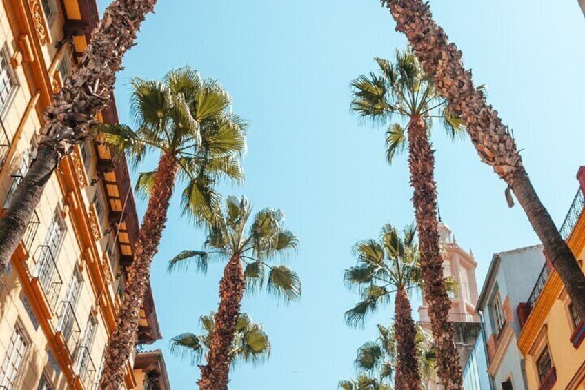 Explore Marbella in 60 minutes with a Local