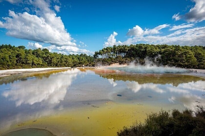 From Auckland to Rotorua Waiotapu and Activity Combinations