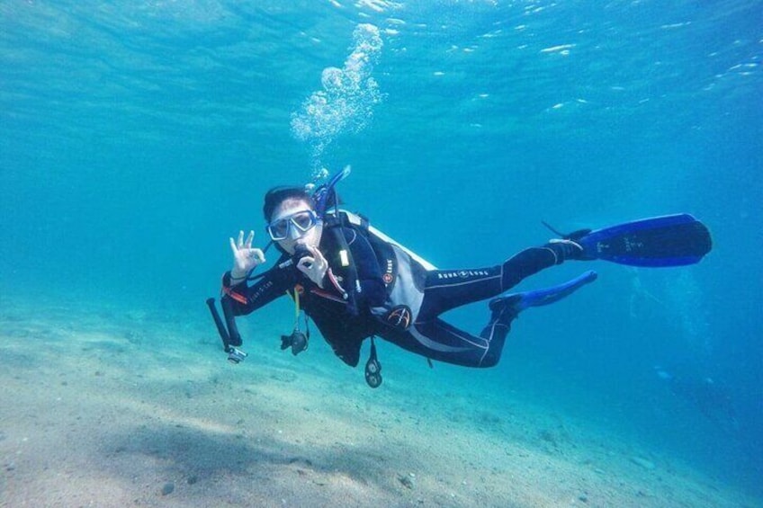Exciting Daily Diving Trip with Lunch Experience –Sharm El Sheikh