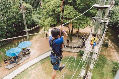 MegaZip, Climb & Jump at Mega Adventure