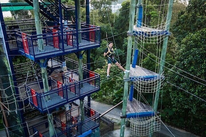 MegaZip, Climb & Jump