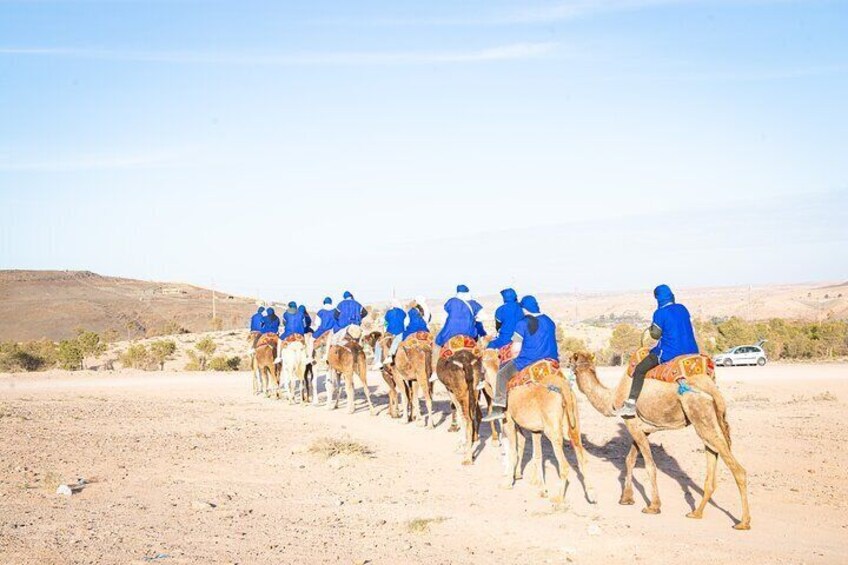Quad Camel Ride and Dinner Show in Agafay