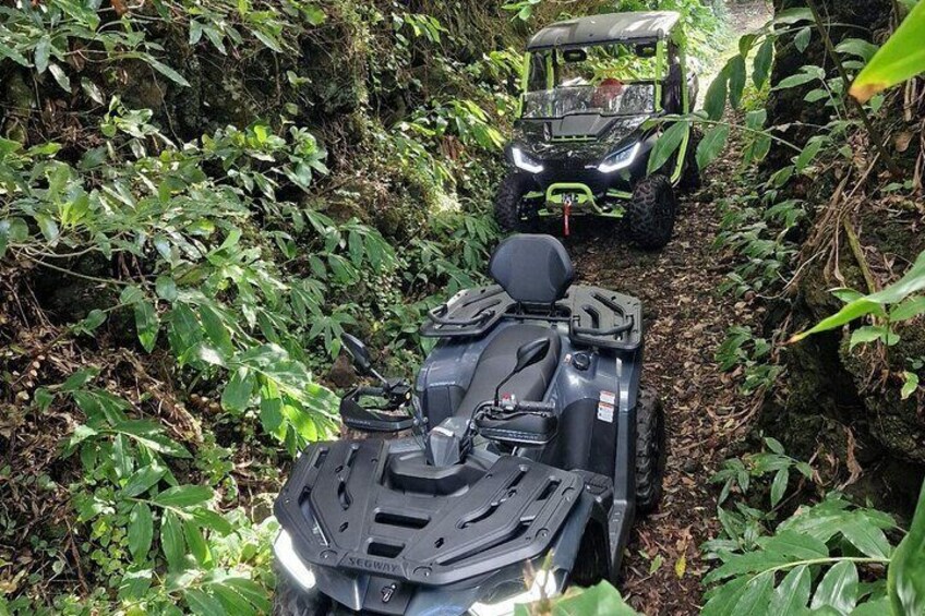 Adventure by buggy in Mount Pico